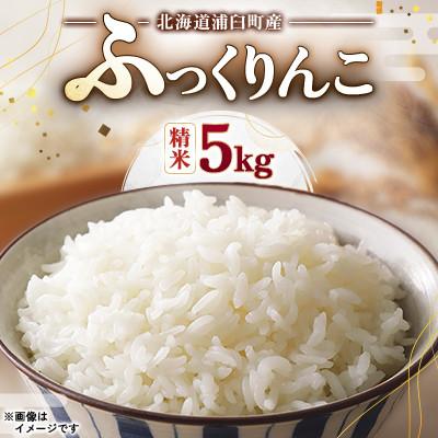 ふるさと納税 浦臼町 【先行予約 令和8年産】浦臼町産　ふっくりんこ(精米)5kg　特A　　お米