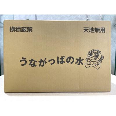 ふるさと納税 多治見市 【1】うながっぱの水　1ケース |  | 02