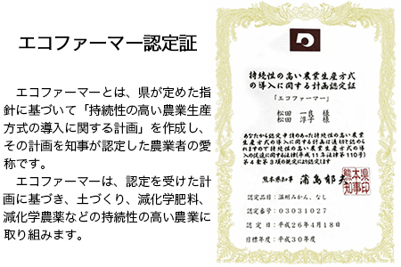 『松田農園』のくまもと梨 期間限定 たっぷり約5kg 8-18玉前後《7月下旬-9月末頃出荷》 予約受付中 熊本県玉名郡玉東町『松田農園』｜ブランド梨 人気梨 特産品梨 熊本県梨 玉東町梨 大人気返礼