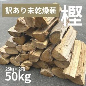 訳あり品　鹿児島県枕崎市産カシ未乾燥薪 25キロ×2箱　B6-1【1521257】