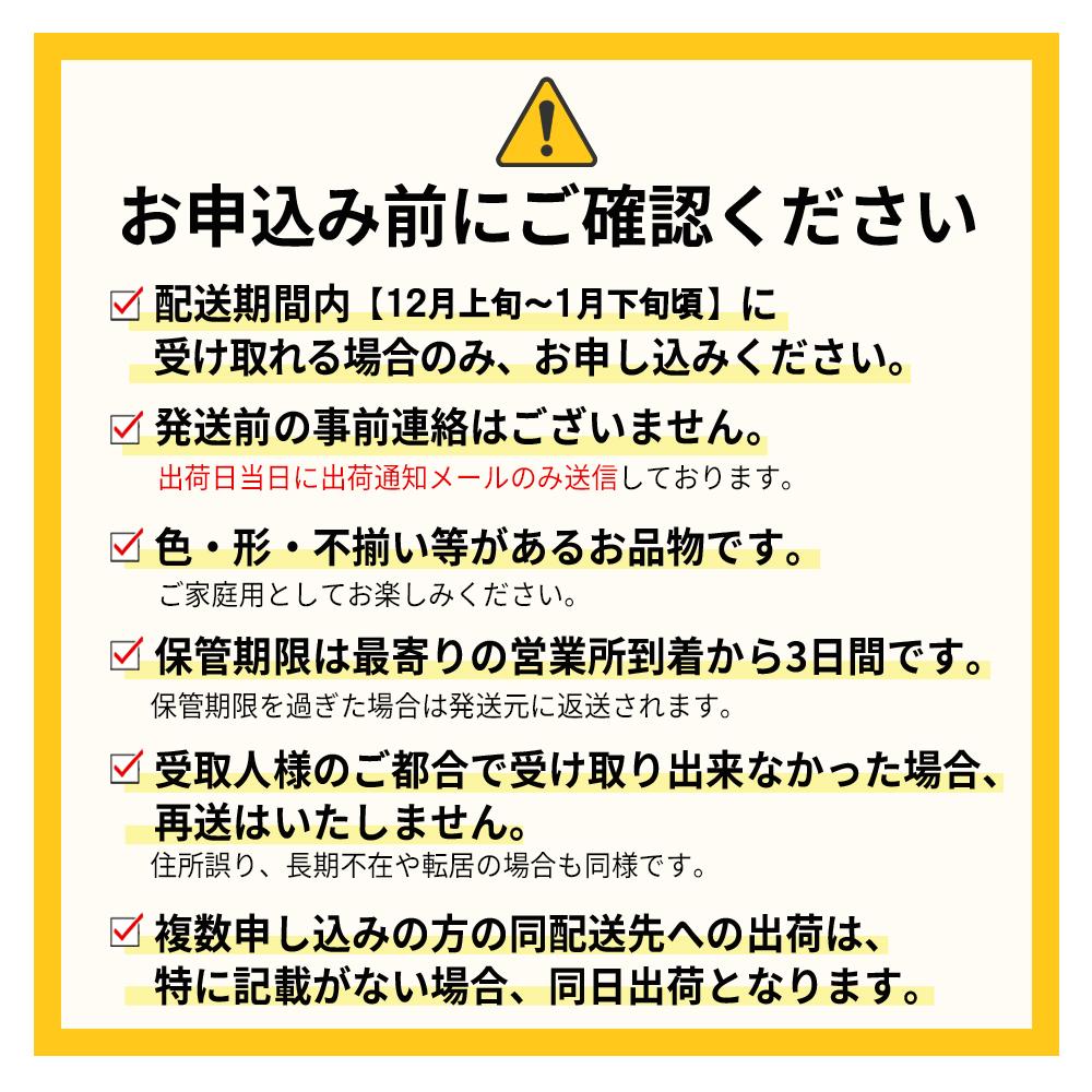 3V2 【冬】福岡産あまおう4パック