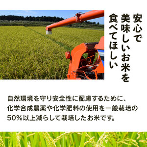 【 新米予約 】 にじのきらめき 特別栽培米 令和7年産 米 10kg 白米 虹のきらめき 2025年産 国産 農家直送 環境こだわり 小分け お米 こめ おこめ 新米 先行予約 農家直送 産地直送 