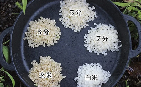 長野県小谷村百姓七人衆のあきたこまち　３kg
