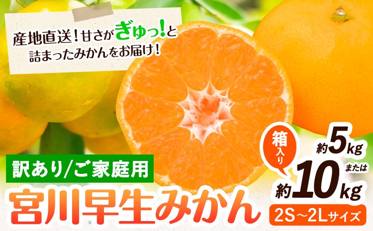 
                  訳あり 宮川 早生みかん 選べる容量 約 5kg 10kg (2S～2Lサイズ) 笑いの里のTommyファーム《11月下旬-2027年1月上旬頃出荷》和歌山県 日高川町 みかん 早生 ご家庭用 旬 柑橘 フルーツ 果物 ミカン 柑 家庭用 産地直送 箱入り わけあり
                