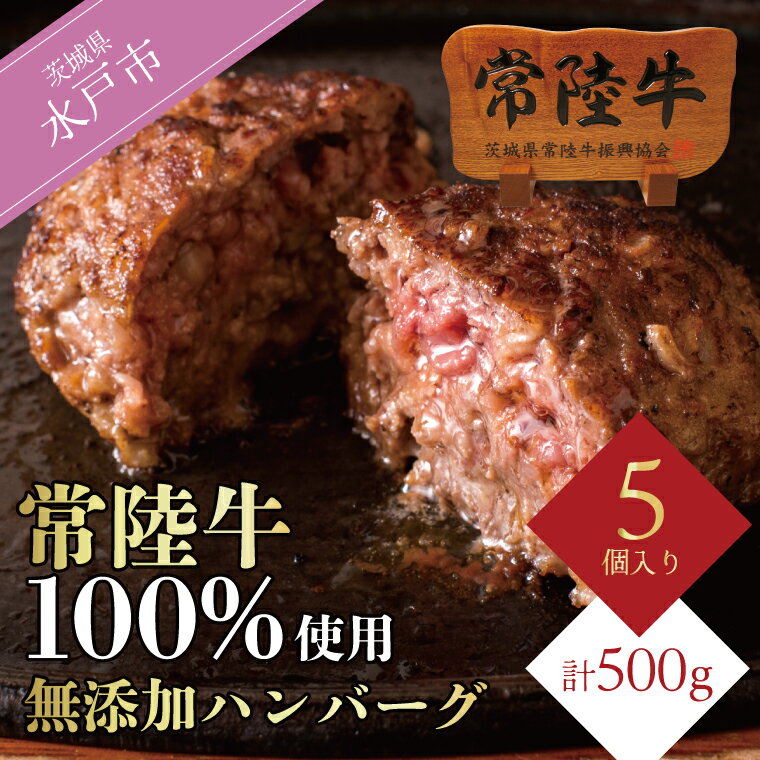 【ふるさと納税】【父の日カード付】＼最短翌日〜5営業日以内発送／ 常陸牛100% ハンバーグ 5個 セット ギフト 父の日 食べ物 肉 10000円 無添加 手捏ねハンバーグ 100g 牛肉100% 冷凍 小分け ※離島への配送不可（北海道、沖縄本島は配送可能）（DU-6）