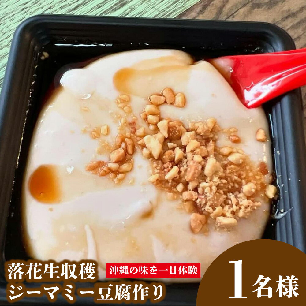 【ふるさと納税】沖縄の味を一日体験〈落花生収穫～ジーマミー豆腐作り〉1名様 一日体験 郷土料理 手作り体験 豆腐作り 収穫体験 ファミリー 地元農家 自然 体験型 食文化 ジーマミー 地域農業支援 豆腐 落花生 豆 おすすめ オススメ やんばる 沖縄 名護市