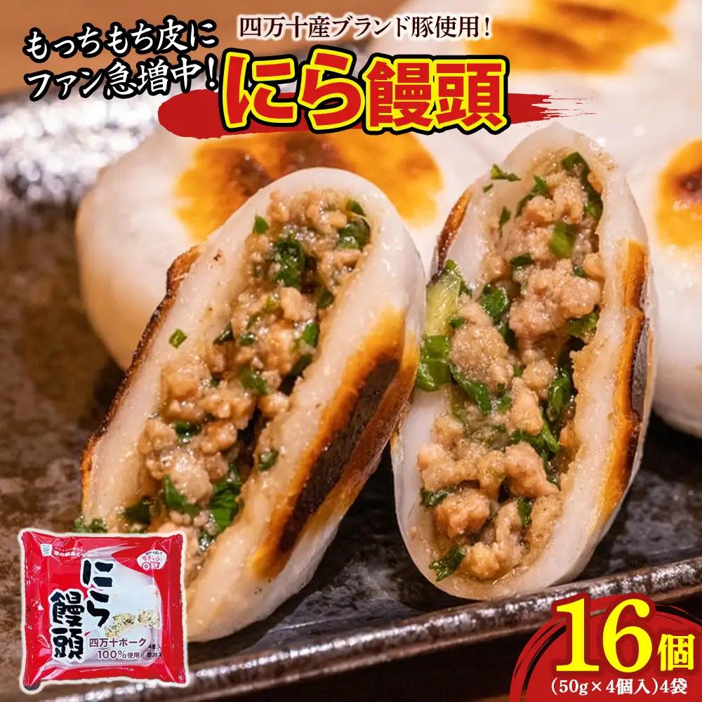 もっちもち皮にファン急増中！にら饅頭セット (計16個) ／Qak-A27 まんじゅう 国産 特産品