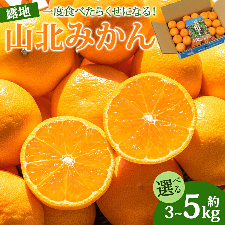 【ふるさと納税】【2025年発送分】【選べる】高知県産 山北みかん 約3kg／約5kg（露地栽培 2S〜Lサイズ）一度食べたらくせになる！- 送料無料 果物 くだもの フルーツ ブランド 温州みかん ミカン 蜜柑 柑橘 甘い お取り寄せ 産地直送 特産品 高知県 香南市【常温】Rku-0037