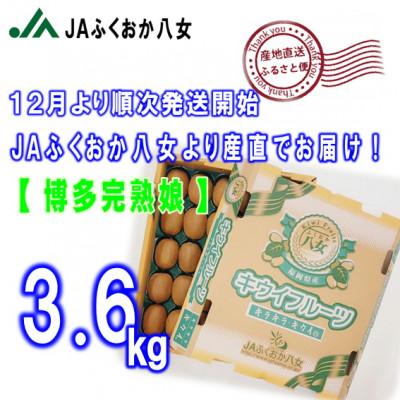 ふるさと納税 八女市 先行受付【博多完熟娘(うれっこ)キウイ3.6kg】JAふくおか八女より産地直送※12月より順次発送 |  | 01