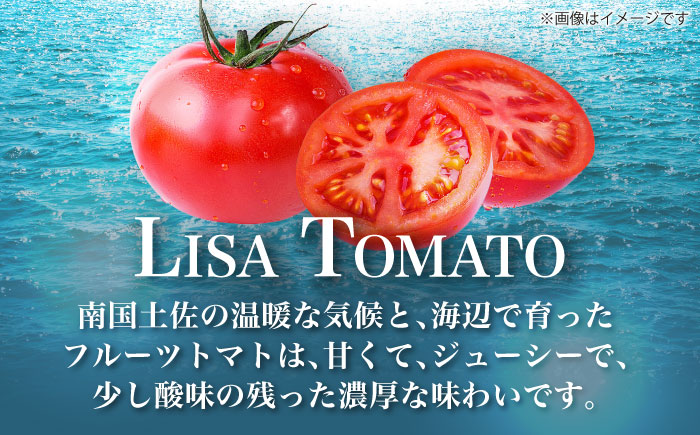 リサフルーツトマト 約2kg トマト とまと 野菜 【株式会社 堀】 [ATDA003]