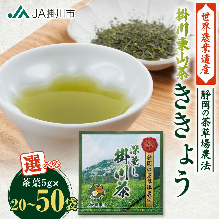 【ふるさと納税】掛川東山茶「ききょう」茶葉　5g×20袋【配送不可地域：離島・沖縄県】【1718450】