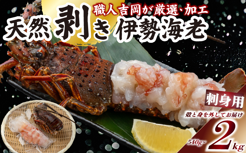 でっかい天然伊勢海老  刺身用 540g~2kg以上 冷凍  2kg以上