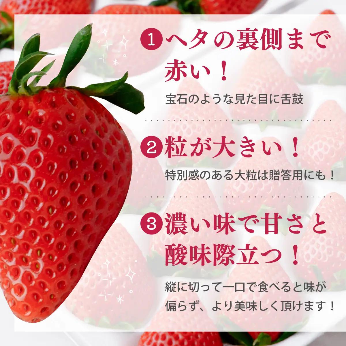 いちご 大粒完熟いちご「やよいひめ」400g
