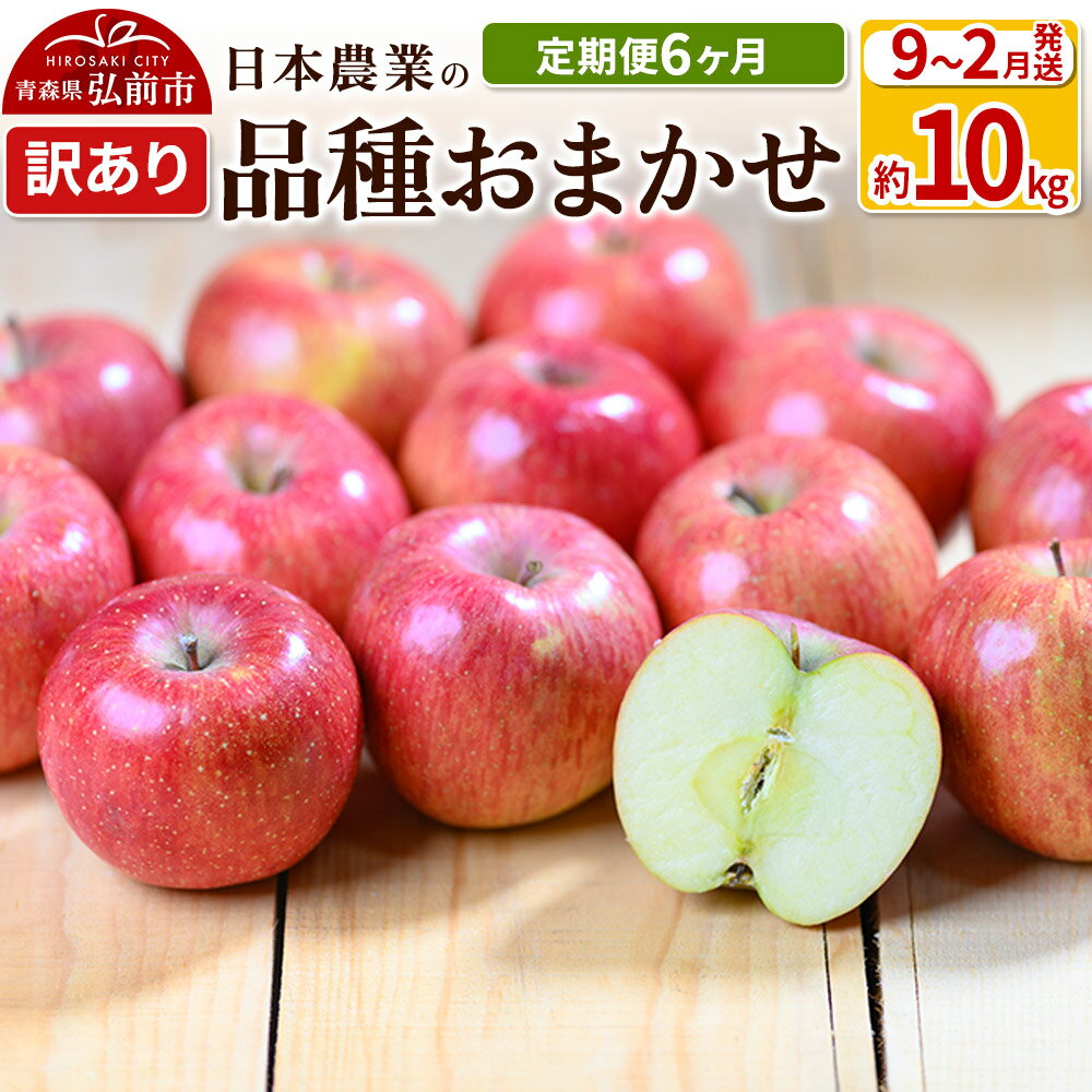 【ふるさと納税】りんご 【定期便6ヶ月】【先行受付】 平均糖度12.5度以上！ 訳あり品種おまかせ 約10kg 【9月〜2月】 6回分