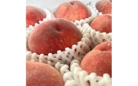 【先行予約】【夏の美味】【和歌山ブランド】フルーツ王国　和歌山　の　桃　約2kg　※2025年6月中旬～7月下旬頃順次発送予定（お届け日指定不可） | 白桃 白鳳清水 白桃 なつっこ 川中島 桃 モモ