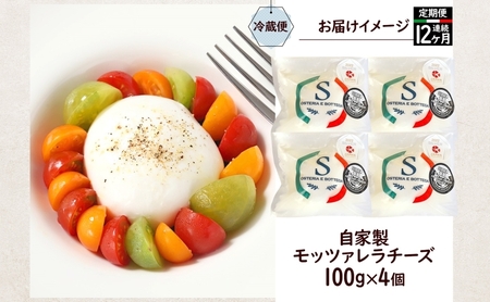  12ヶ月定期便 出来立て新鮮 モッツァレラチーズ100g  ×  4個セット 茅ケ崎産 加工食品 乳製品 チーズ 出来立て 神奈川県産 モッツァレラ 手作り Osteria e Bottega S 