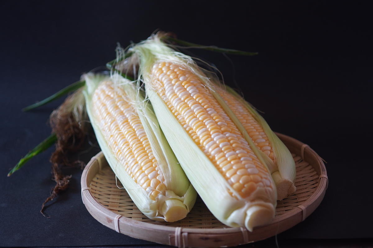 ナツビ農園『どきどきコーン』10本セット（約4.5kg）/ 20本セット（約9kg）2025年夏分のご予約受付中！信濃町名産とうもろこし／白と黄色のバイカラー品種 令和7年7月下旬～8月下旬に随時出荷