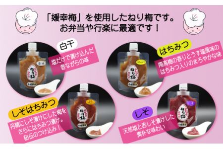 「媛幸梅」ねり梅（はちみつ・しそ・しそはちみつ・白干の4種から自由に3点選べます）3点セット［箱入り］×２箱