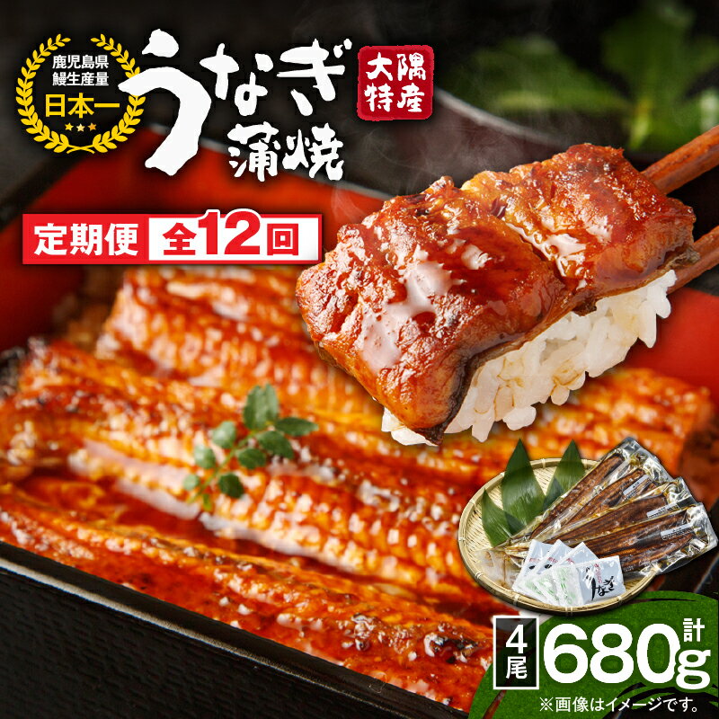 【ふるさと納税】【定期便12回】大隅特産うなぎ蒲焼4尾（680g）×12回 合計48尾 計8.16kg 【国産】たれ付 真空パック 湯煎 レンジ 簡単調理 国産 国産うなぎ 定期 うなぎ蒲焼 小分け 定期便 鹿児島県 鹿屋市 コンシェルジュ【寺園商店】