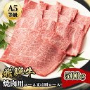 【ふるさと納税】『A5等級』飛騨牛焼肉用500g　ロース又は肩ロース肉【配送不可地域：離島】【1432055】