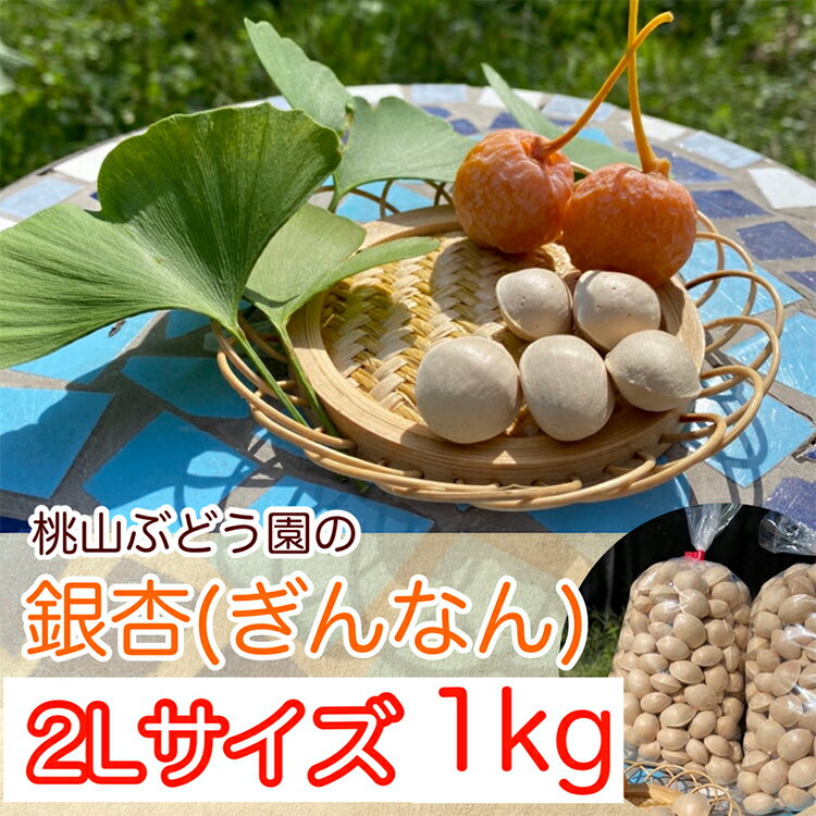 【ふるさと納税】桃山ぶどう園の『ぎんなん(殻付き)』2Lサイズ　約1kg　※北海道・沖縄・離島への配送不可　※2025年11月上旬頃より順次発送予定