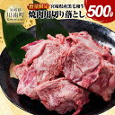 【ふるさと納税】【数量限定】宮崎県産黒毛和牛　焼肉用切り落とし500g - 牛肉 国産 宮崎県産 宮崎牛 BBQ D11303