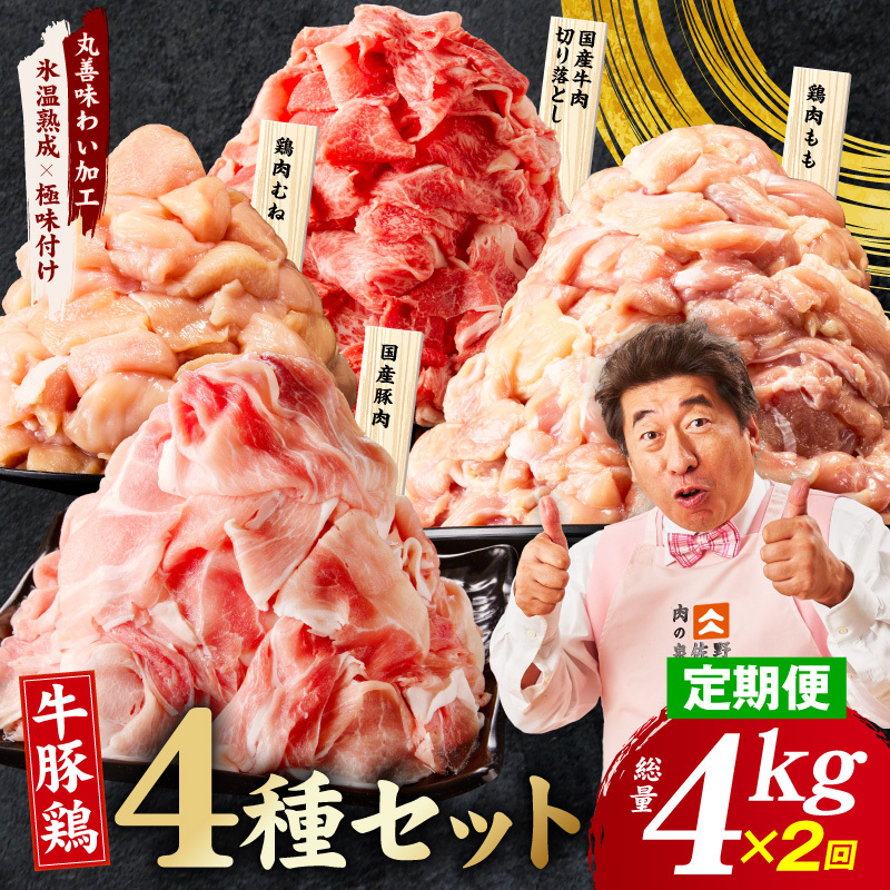 【定期便】国産 牛豚鶏 4種セット 4kg×2回【氷温熟成×極味付け 牛肉 豚肉 鶏肉 もも むね 食べ比べ 普段使い 味付き 小分け 訳あり サイズ不揃い 毎月配送コース】 mrzZ088
