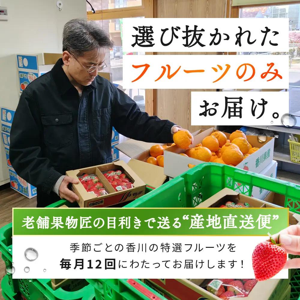 《特選プラチナコース》産直あきんど厳選フルーツ！魅惑の12回便 | フルーツ