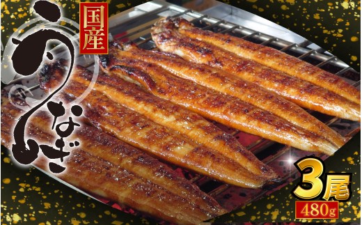 【2週間配送】国産 うなぎ 蒲焼 3尾（約480g）冷蔵 特上うなぎ 頭付き かば焼き うなぎ蒲焼き 鰻 土用の丑の日 丑の日 夏 スタミナ たれ 秘伝 うな重 ひつまぶし 人気 地元で人気 おすすめ タレ 焼き