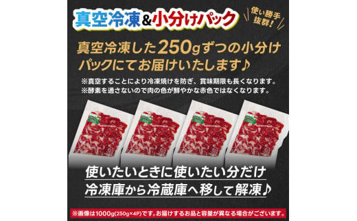 ＼9ヶ月連続 定期便／ 切り落とし 赤身 肉 牛肉 いわて 短角和牛 500g (総計 4500g) 小分けパック 真空冷凍 | 牛肉 肉 赤身 短角 和牛 国産牛 ブランド牛 切り落し 大容量 牛丼
