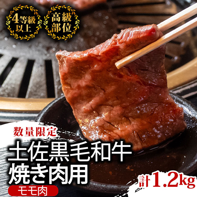 【12回定期便】土佐黒毛和牛 食べ比べ 11720g (計11kg以上) | Rコース 厳選 国産 和牛 すき焼き しゃぶしゃぶ ステーキ 焼き肉 お肉 にく 霜降り 牛肉 ウデ肉 うで肉 モモ肉 も