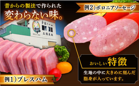 【5回定期便】 宮地ハム こだわりロースハムとお楽しみセット 総計9.6kg /宮地ハム [UBM001] 詰め合わせ ベーコン ソーセージ 焼豚 ハム 豚 豚肉 国産 国産豚 こだわりロースハム ベ