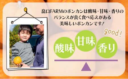 【先行予約】訳ありポンカン ＜10kg＞ サイズ混合　HT20 [H-08] 【畠口FARM（畠口　佳養）】