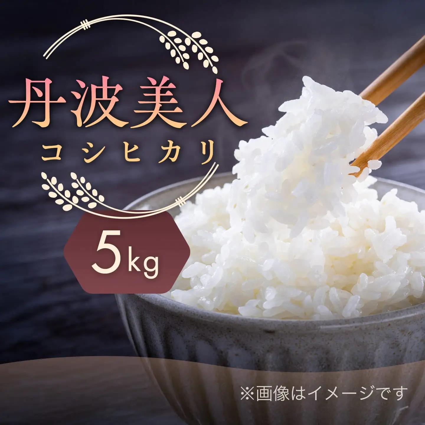 「丹波美人」白米 5kg | 米 お米 こしひかり 白米 精米