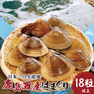 はまぐり 鹿島灘産 18粒以上 【 はまぐり 】