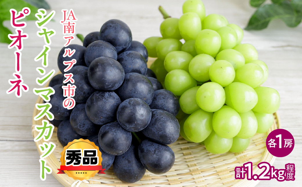 
            【2025年度先行予約】シャインマスカットとピオーネ 約1.2kg(各1房) 秀品 | 山梨 山梨県 ぶどう 葡萄 ブドウ マスカット  ピオーネ フルーツ くだもの 果物 高級 新鮮 産地直送 贈答 ギフト 2025年 | ALPAA053
          