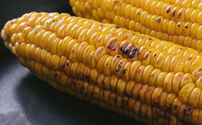 【2025年8月～発送】北海道 富良野産 とうもろこし ≪ゴールドラッシュ≫ L～2Lサイズ 20本 沖縄 離島不可 (鷲見農園) とうもろこし とうきび コーン 野菜 新鮮 甘い ジューシー 贈り物