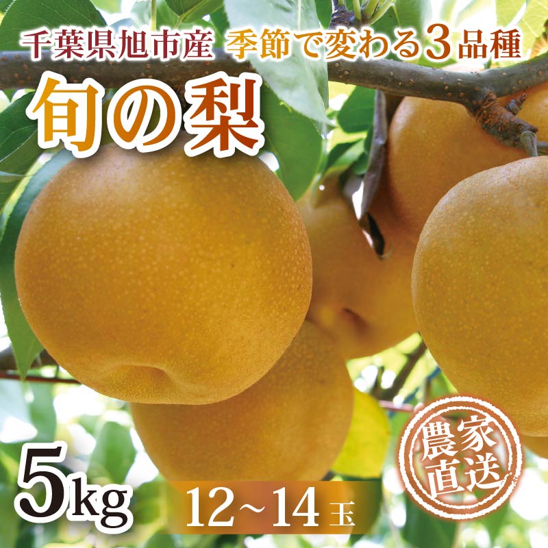 【ふるさと納税】 【 先行予約 】梨 約 5kg 幸水 豊水 あきづき 12 〜 14玉 なし 梨産地 旬 果肉 糖度 くだもの 果物 フルーツ 冷蔵 ふるさと納税 産地 送料無料 千葉県 千葉 旭市 旭市産 まる吉園 【 数量限定 】 【2025年 8月以降発送】