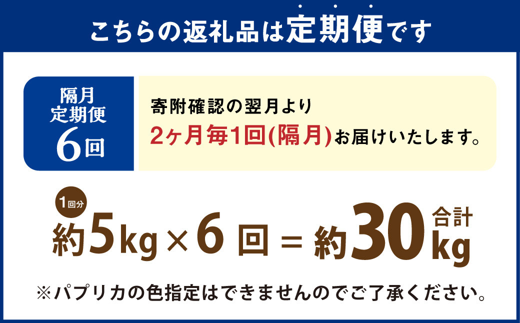 【隔月6回定期便】 大分県 九重町産 温泉パプリカ 計約30kg（約5kg×6回）