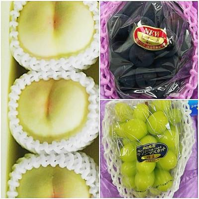 ふるさと納税 井原市 【発送月固定定期便】岡山県産 フルーツ定期便<お一人様向け>全3回 |  | 01