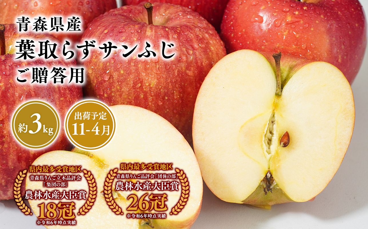 2026年産１１月～4月発送　贈答用葉とらずサンふじ3kg【青森県 平川市 そと川りんご園】