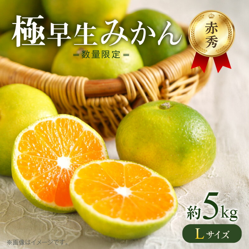 【ふるさと納税】【2025年先行予約】 【数量限定】 極早生みかん 5kg 赤秀 Lサイズ 【ミカン 柑橘 温州みかん 有田みかん 贈答 ギフト わせみかん 和歌山】