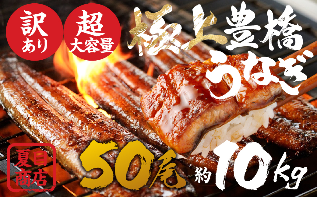 
                  豊橋うなぎ 大容量 50尾 業務用 長蒲焼  夏目商店 蒲焼 国産 国産うなぎ 蒲焼 長焼 ウナギ
                