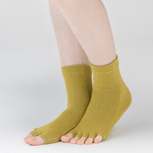 天然の美容繊維 シルク指汗さわやかソックス 同色2組 フリーサイズ H-SO1203X2