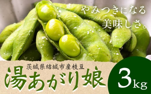 枝豆 先行予約「湯あがり娘」3kg（茶豆味）有限会社大嶋農園 《2026年7月中旬-8月上旬頃出荷》茨城県結城市産枝豆 野菜 国産 甘み 香り 濃厚 つまみ ビールのおつまみ ビールのつまみ【配送不可地域あり】