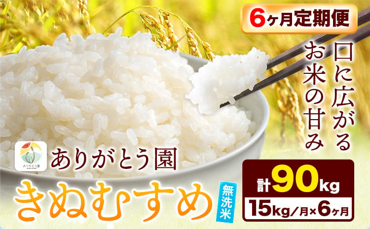 
182.【6ヶ月定期便】令和6年産 米 岡山県産 きぬむすめ 無洗米 選べる 10kg ありがとう園《お申込み月の翌月から出荷開始》岡山県 矢掛町 無洗米 米 コメ 一等米 定期便 定期
