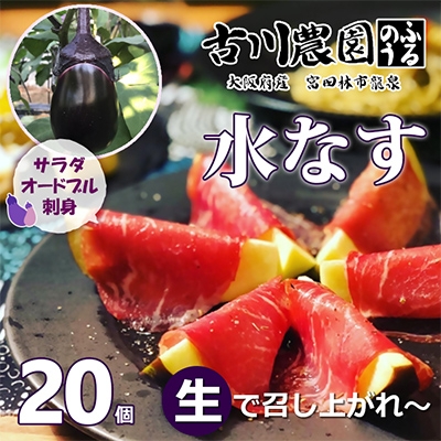 
                  ＜20本＞古川農園　「生水なす」2個入×10袋　そのまま食べられる青果で水なすを産地直送でお届け!【1484515】
                