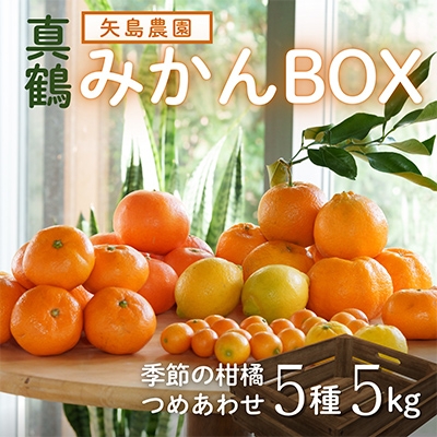 
                  みかん色々♪季節の柑橘詰合せ5kgいろんな種類が一箱に詰まった楽しいみかんBox＜先行受付＞【1531518】
                