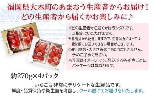 いちご あまおう 大木町 約270g×4パック 合計1080g 【2026年1月～4月に順次出荷予定】 CB223