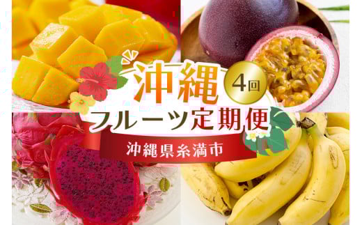 【定期便全4回】沖縄 フルーツ 定期便 4回 パッションフルーツ マンゴー ドラゴンフルーツ フルーツ定期便 沖縄バナナ バナナ 旬 フルーツ 果物 くだもの 完熟マンゴー 沖縄マンゴー 定期便 季節の果物 産地直送 沖縄県 糸満市 